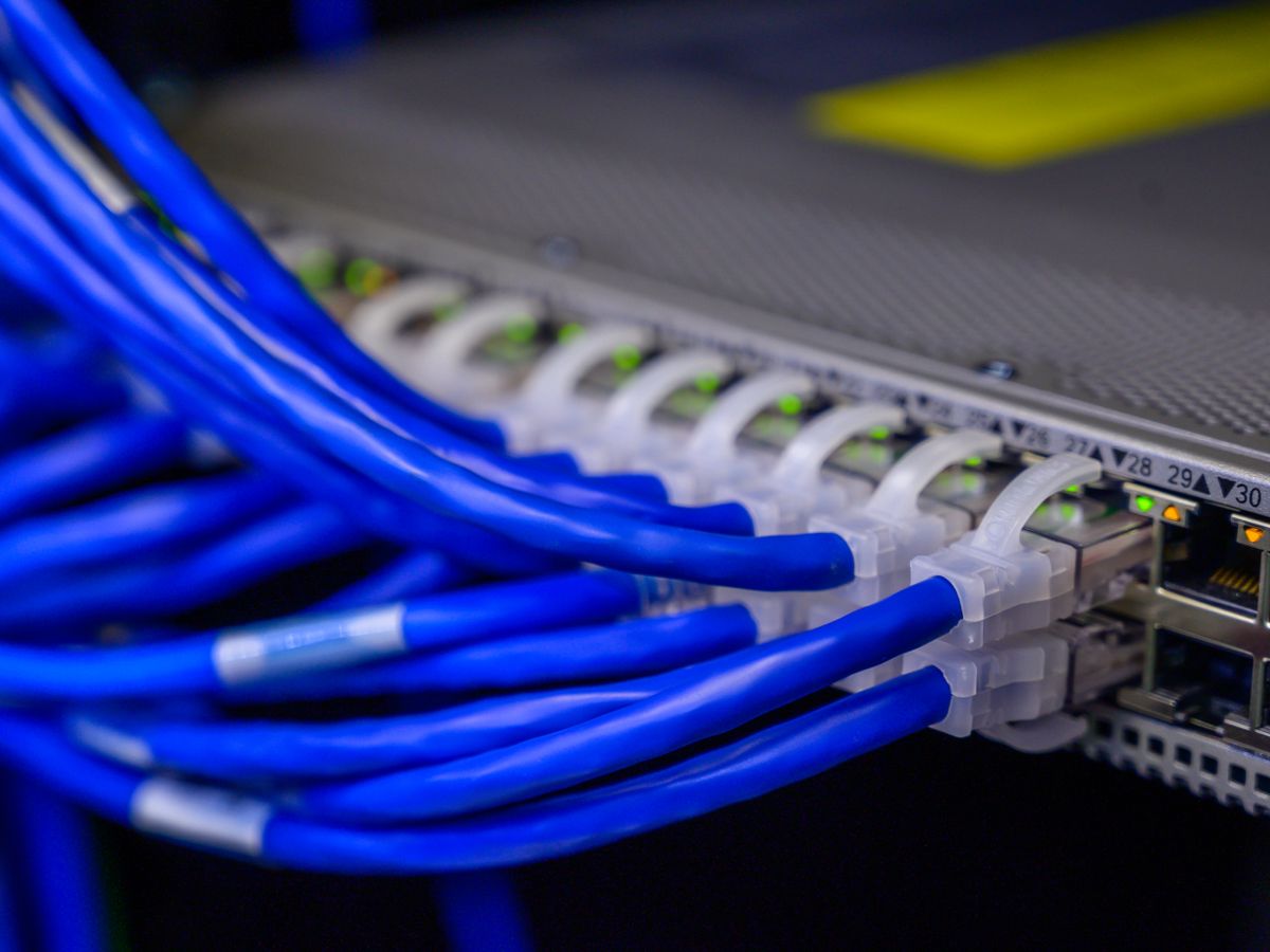 Ethernet cables plugged into a network switch